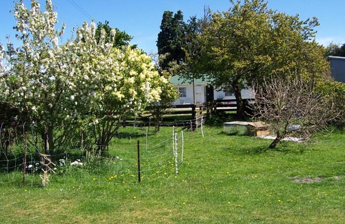 Kaikoura House | Wacky Stays - unique farm-stay glamping rentals, FREE animal feeding tours