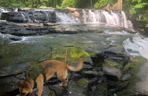 Pipestem Cottage | Wagon Wheel Cottage:Pet Friendly Cabin at Pipestem