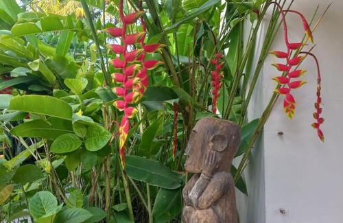 Maumere House | Waiara Village Guesthouse