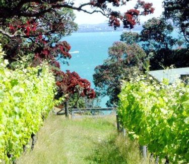 Surfdale House | Waiheke Island Vineyard Holiday Houses