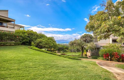 Wailea Apartment | Wailea Ekolu Village