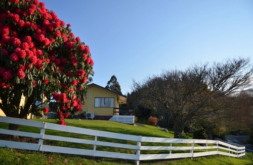 Waitomo Caves House | Waitomo Big Bird Retreat