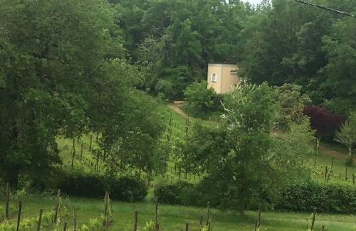 Veyrines-de-Domme House | Wake up between the vineyards in the Dordogne
