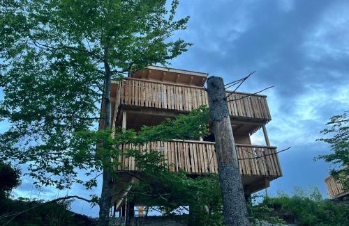 Bernbeuren Resort | Wald ist Zukunft