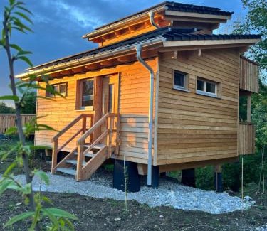 Bernbeuren Resort | Wald ist Zukunft