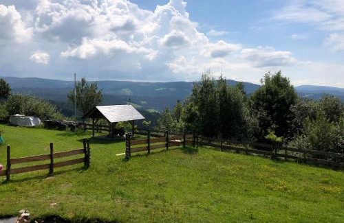 Ratten House | Waldheimathütte