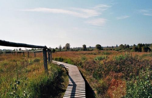 Nideggen House | Waldhaus Anne