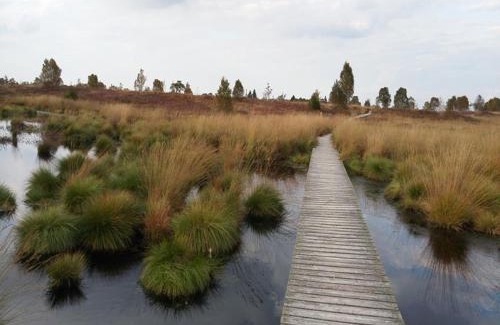Nideggen House | Waldhaus Anne