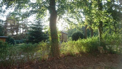 Zichtau House | Waldhaus Halvor