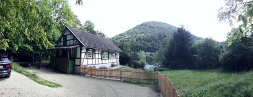 Zorge House | Waldhaus Staufenbergblick in Zorge