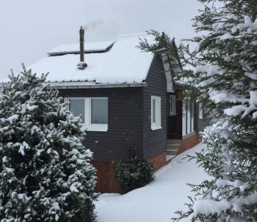 Oberhausen House | Waldhaus Wangen