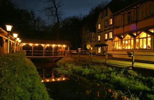 Eisenberg Hotel | Waldhotel Pfarrmühle