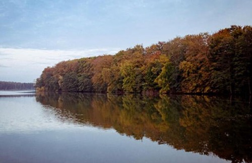 Korswandt Apartment | Waldsiedlung Waldhaus App 4.1