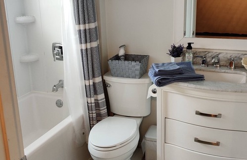 Regina Apartment | Walk to everything!1 bed bachelor suite in downtown Regina!