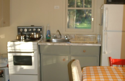 Tiny Cabin | walk to private beach across the street -2BR Cozy Forest Cabin -amazing sunsets