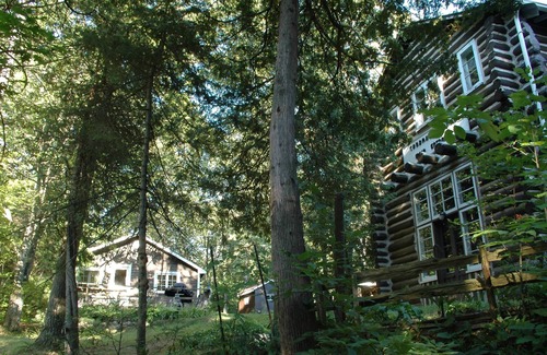 Tiny Cabin | walk to private beach across the street -2BR Cozy Forest Cabin -amazing sunsets