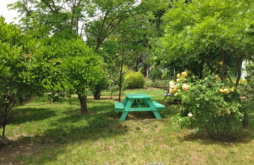 Lyle Apartment | Walk to SandBar, Klickitat River, Wine Tasting - Dogs welcome!