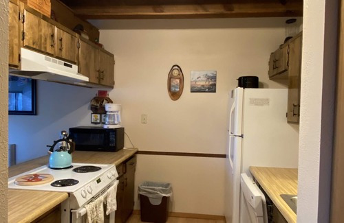 Angel Fire Condo | Walk To Ski Lifts! W/D, WiFi, Kitchen, Skylights