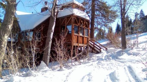Bear Valley House | Walk to the Lake - Ski in out Amazing 5 Bdrm - VH#343