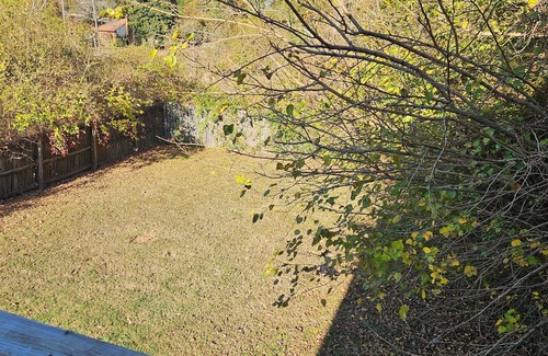 Newport News Apartment | Walking distance to Chesapeake 2