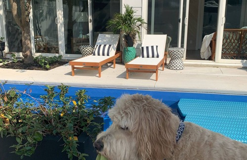 Dodds Addition House | Walking Distance to Ocean/Beaches, Heated/Saltwater pool-pool open 4/1-11/1