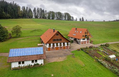 Wolfach - Saint Roman Apartment | Wallemehof