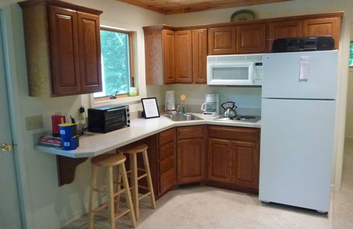 Petoskey Cottage | Walloon Lake Guest House Cottage ~ Beautiful And Secluded Getaway!
