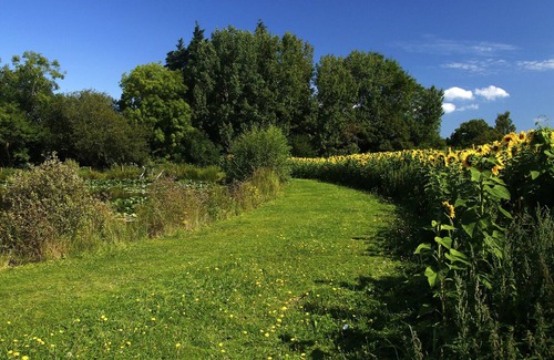 Teigngrace Cottage | Walnut Cottage