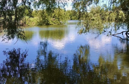 Westbere Other | Walnut Tree Glamping