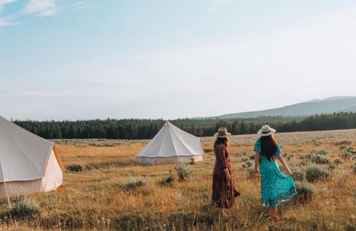 Island Park Other | Wander Camp Yellowstone