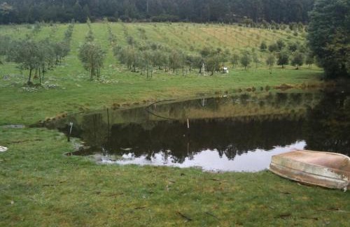 Woodbridge Bed & Breakfast | Wanderers Cottage