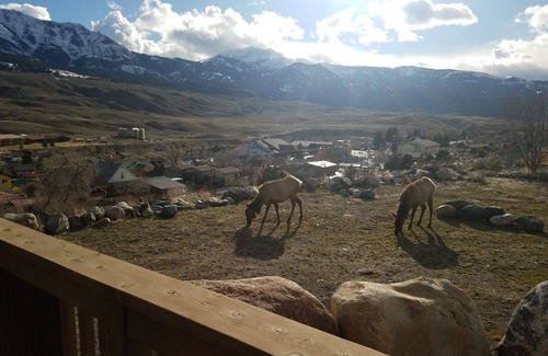 Gardiner Cabin | Wanderlust Haven overlooks the heart of Gardiner, next to Yellowstone Nat'l Park