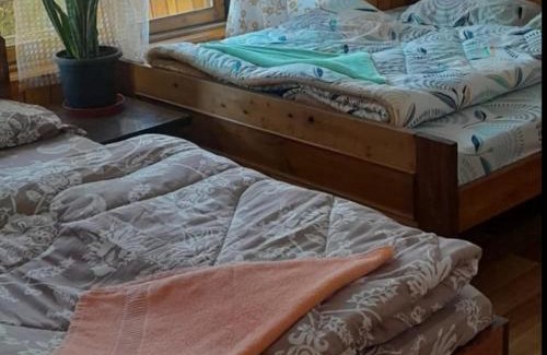 Rishop House | Wanderlust Homestay By StayApart