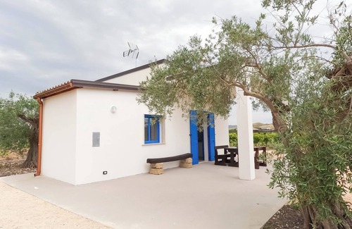 Ribera House | Waning Moon - Among the Citrus Trees in Ribera