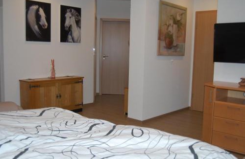 Warendorf Old Town Apartment | Warendorf 12