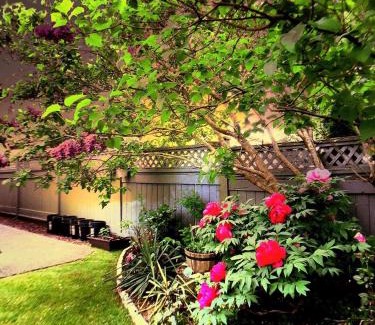 Richmond House | Warm home