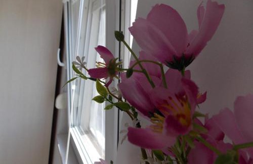 Diklo Apartment | Warm Terrace Apartments