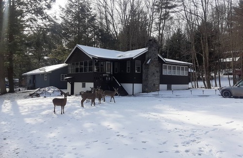 Smallwood Cottage | Warm welcoming cozy cottage in the woods
