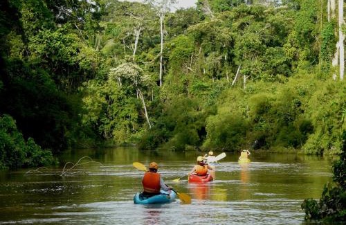Tambopata Cabin | Wasai Tambopata Lodge