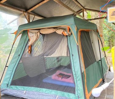 Khlong Sok Other | Wassana Camp & Khai jungle experience