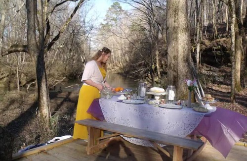 Ashville Cabin | watch the leaves fall…no raking required