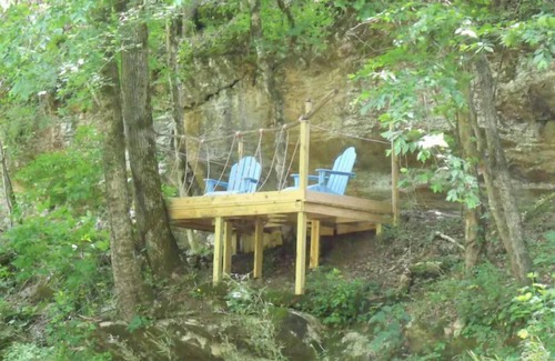 Ashville Cabin | watch the leaves fall…no raking required