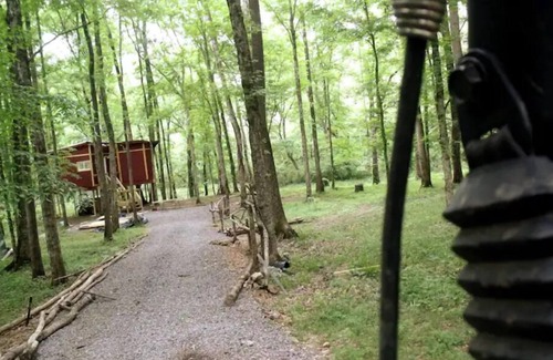 Ashville Cabin | watch the leaves fall…no raking required