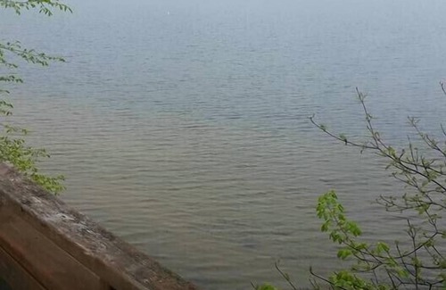 Cloyne Cottage | Water Front Cottage In North Frontenac