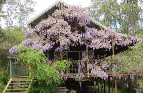 Bindera House | Water Gums Retreat, Barrington River, Barrington Tops area, perfect for groups