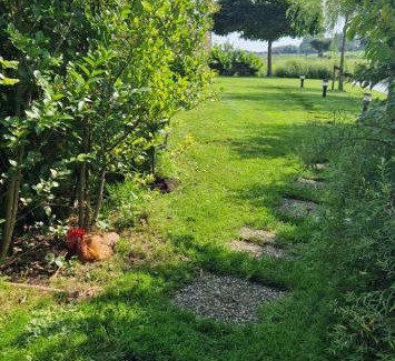 Boeicop House | Water & Meadow cottage in Central Holland 2A & 2C