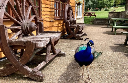 Mottistone Ski Chalet | Water Mill Vacations, Badgers Oak