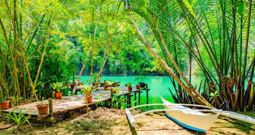 Loboc Bed & Breakfast | Water to Forest Ecolodge