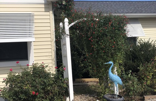Dutton Cottage | Water Views from most rooms-on the Rappahannock River