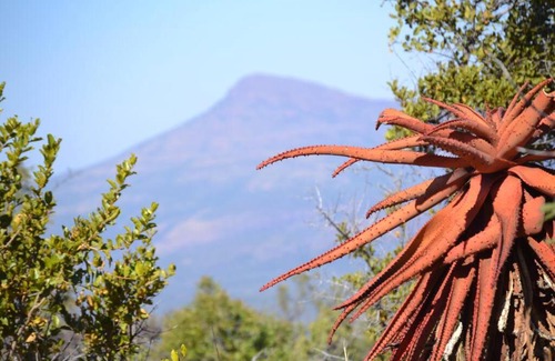 Groenvlei House | Waterberg Hideaway